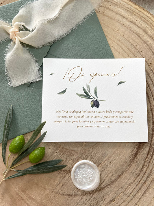Tarjeta de Agradecimiento Boda  ''Olivo''