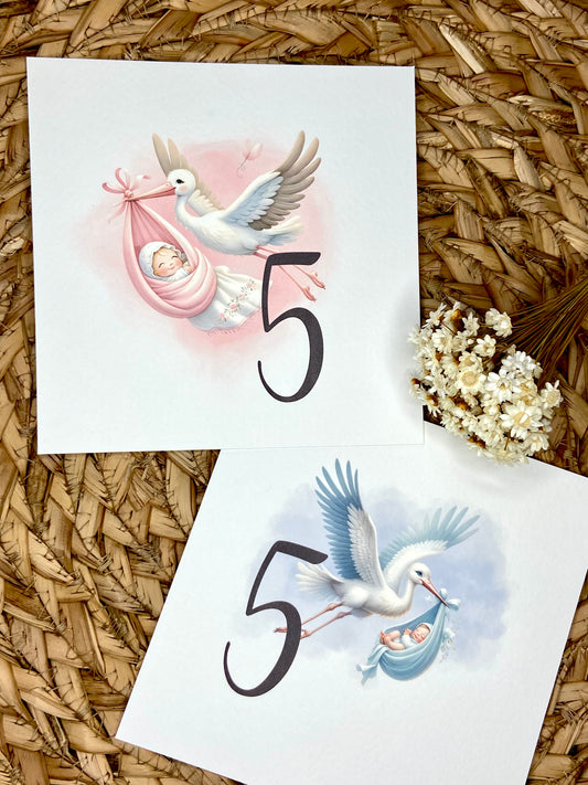 Mesero Bautizo "Cigüeña"