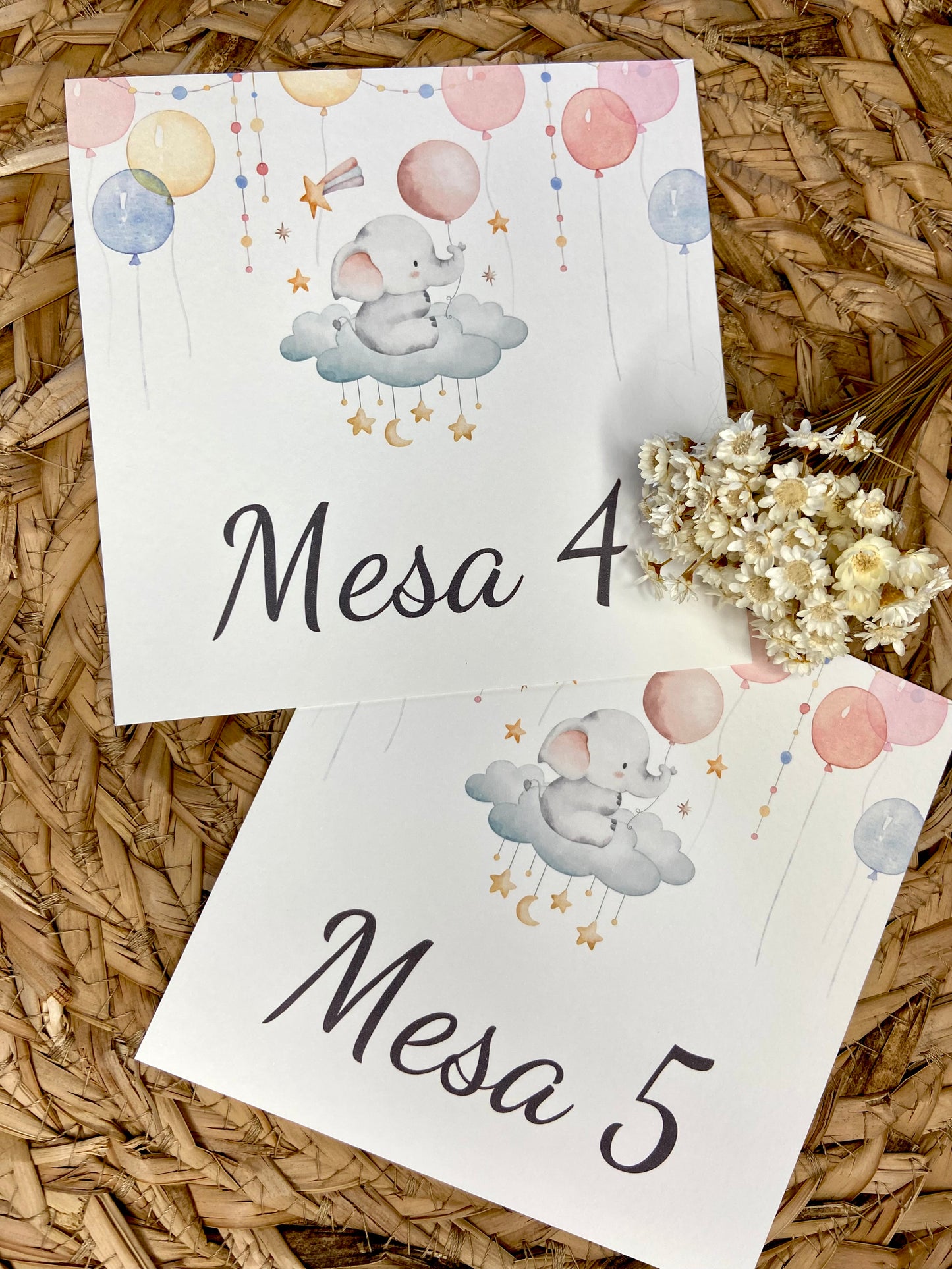 Mesero Bautizo ''Elefante Globos''