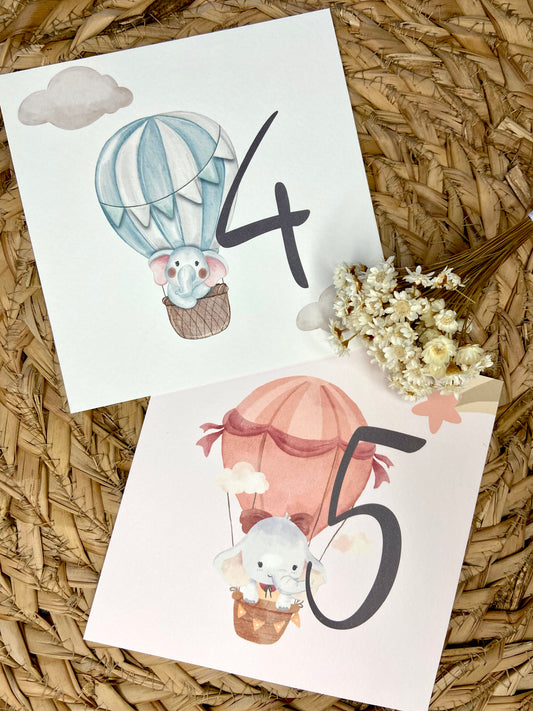 Mesero Bautizo "Elefante Globo Aerostático"