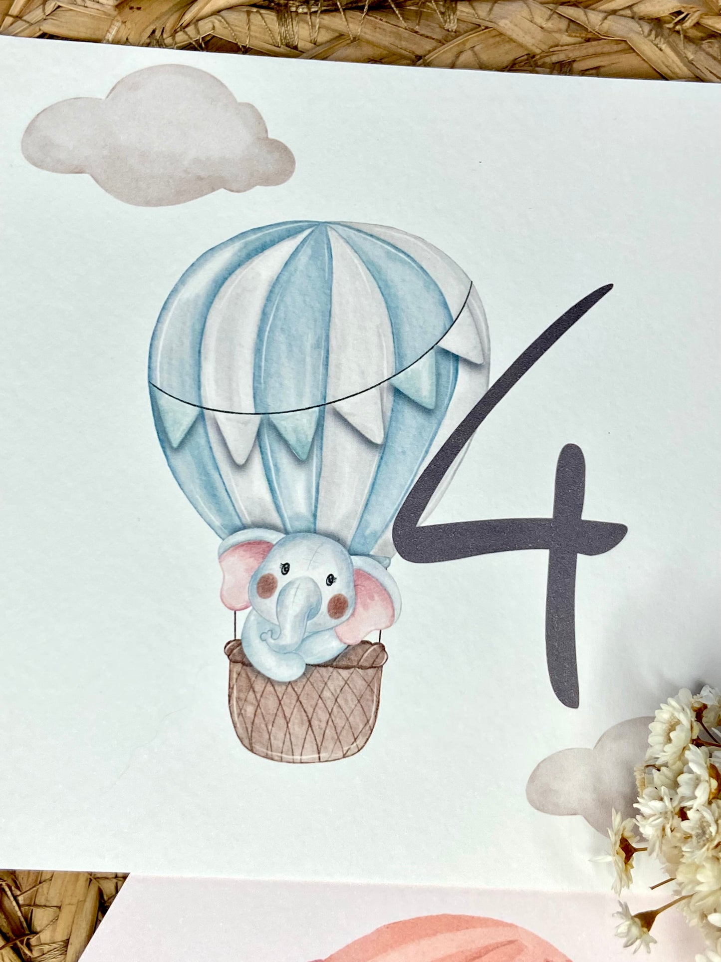 Mesero Bautizo "Elefante Globo Aerostático"
